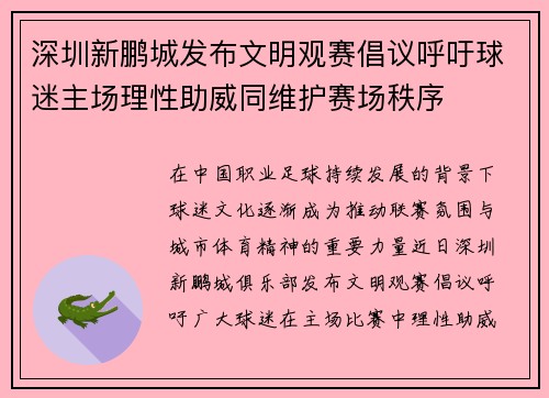 深圳新鹏城发布文明观赛倡议呼吁球迷主场理性助威同维护赛场秩序